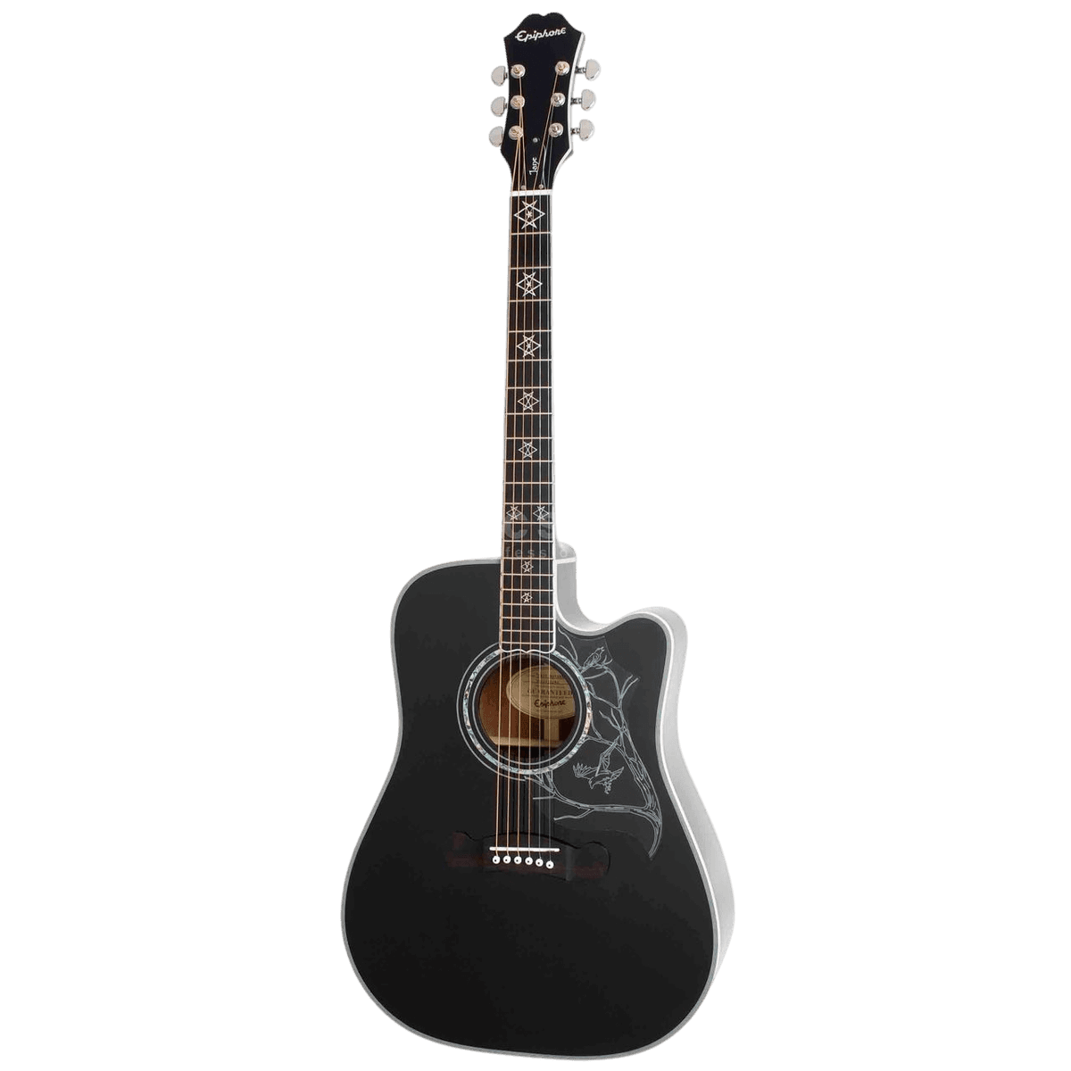 Epiphone Dave Navarro Signature Model Acoustic Electric Guitar