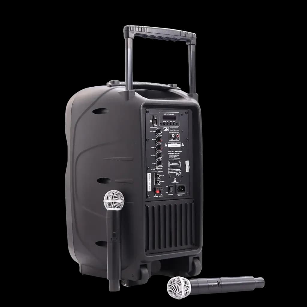 Baretone MAX12AL 12 inch Portable Wireless Speaker