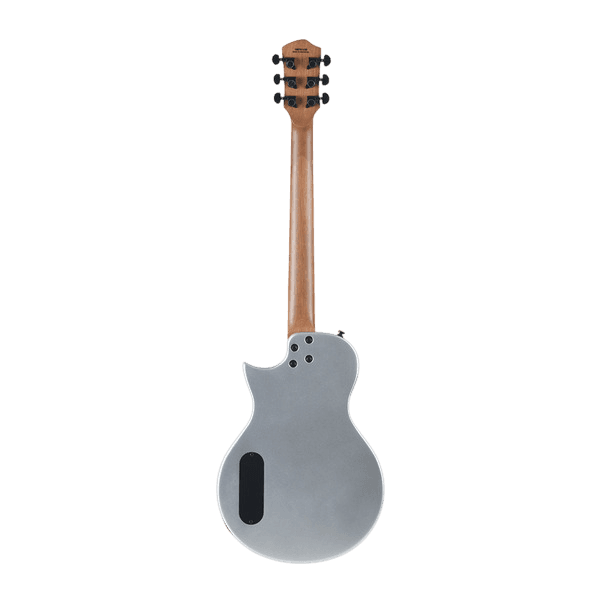 HEX H100 LITE S/SV LES PAUL GITAR ELEKTRIK