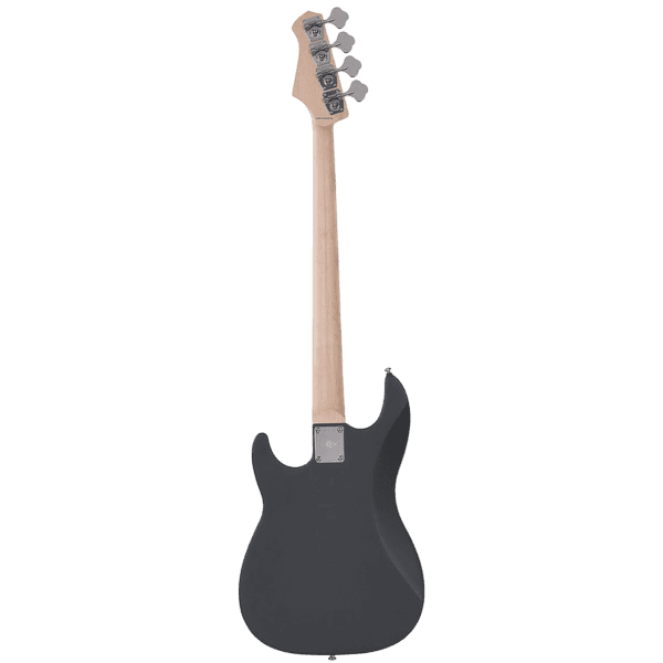 HEX R100M S/SG SLATE GRAY PRECISION BASS
