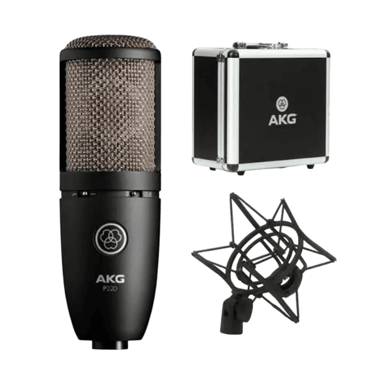 AKG P220 LARGE DIAPGRAHM STUDIO CONDENSER MICROPHONE