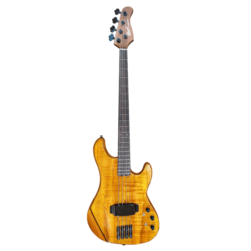 CORT BASS ELEKTRIK THOMAS MYISTER VT