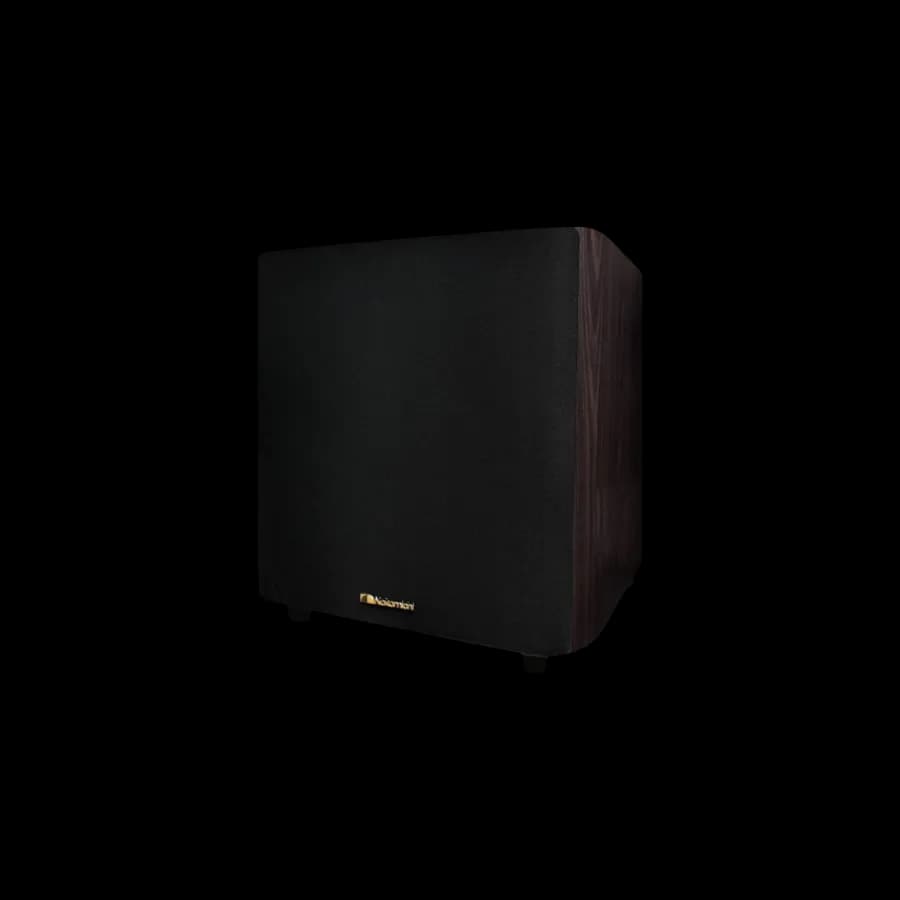 Nakamichi ESW 1000 12 inch