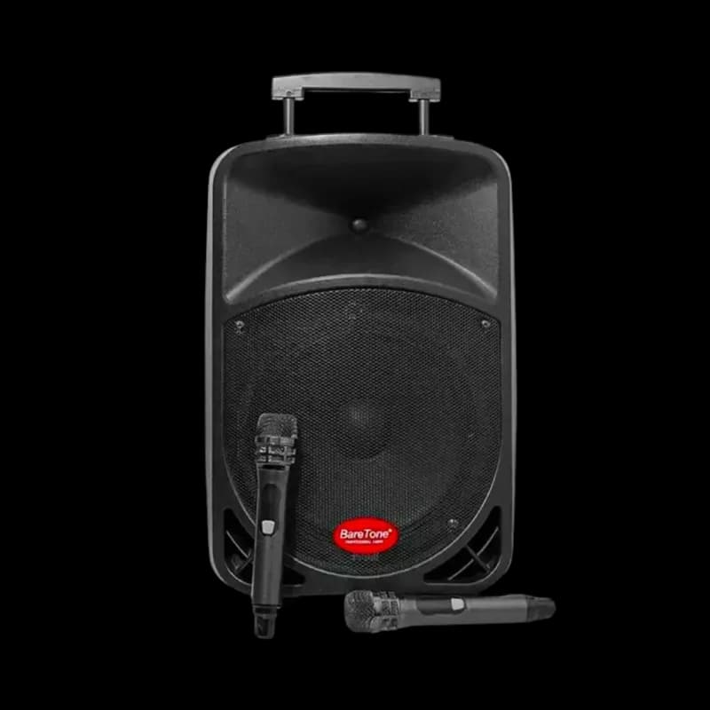 Baretone 1212BWR 12 inch Portable Bluetooth Wireless Speaker