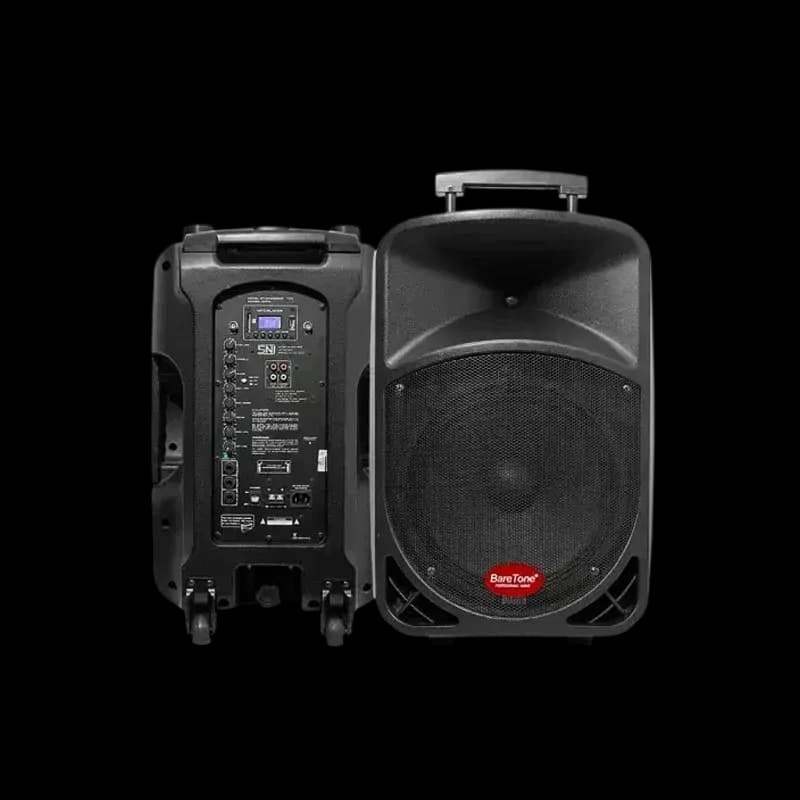 Baretone 1212BWR 12 inch Portable Bluetooth Wireless Speaker