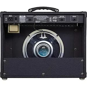 Peavey Envoy 110 Guitar Amp with TransTube Technology BMJ